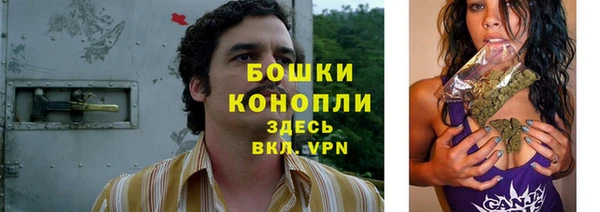 PSILOCYBIN Аркадак