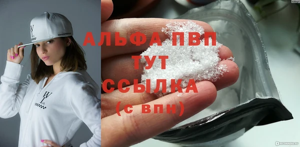 PSILOCYBIN Аркадак