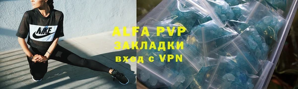 PSILOCYBIN Аркадак