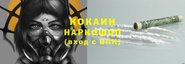 PSILOCYBIN Аркадак