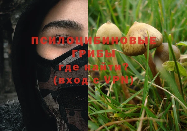 PSILOCYBIN Аркадак