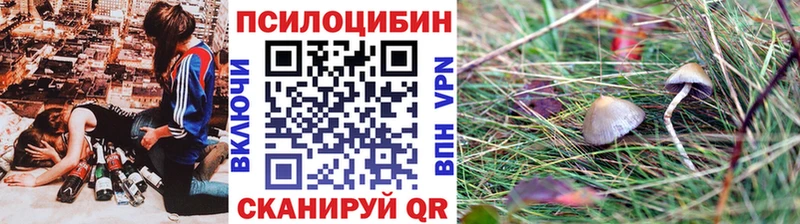 наркошоп  kraken ССЫЛКА  Псилоцибиновые грибы Cubensis  Борисоглебск 
